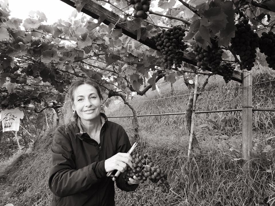 Weingut Pratenberg