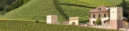 Weingut Hofstätter