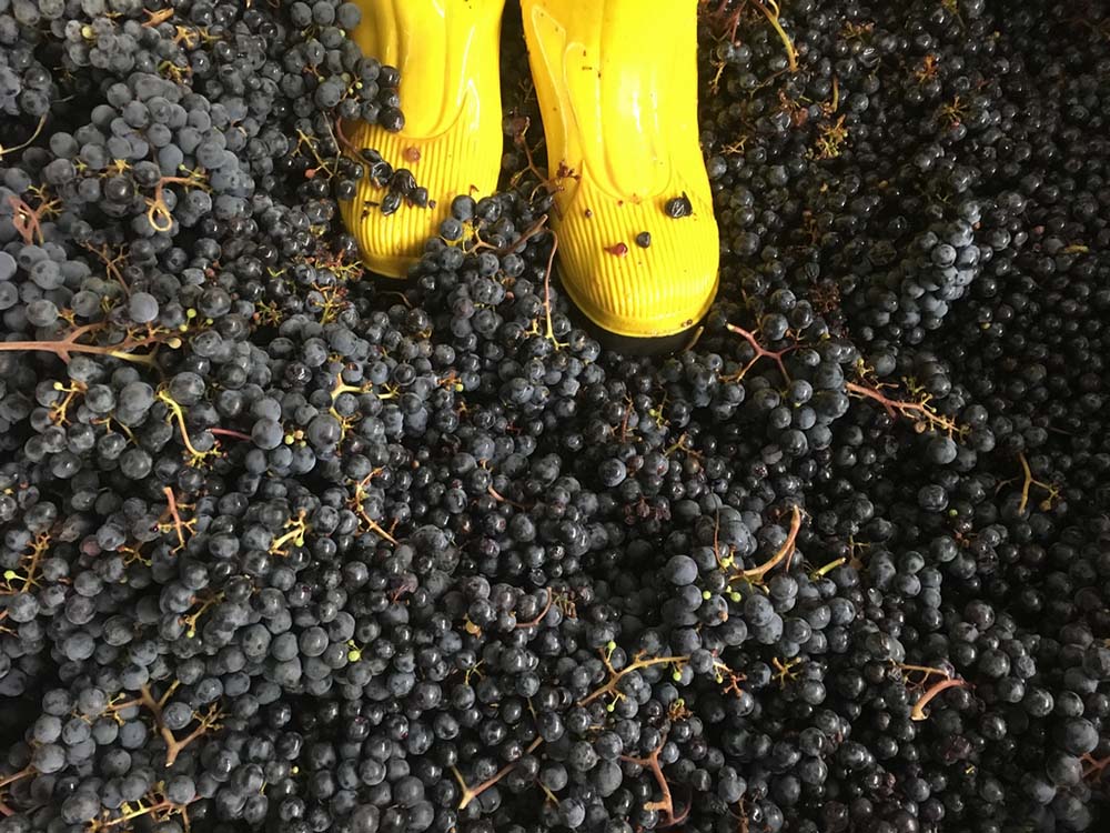 Bergkellerei Passeier