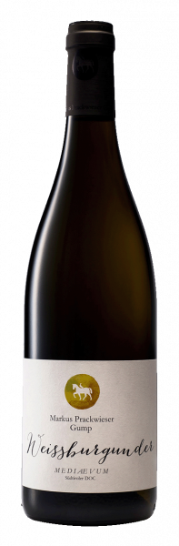 Weißburgunder "Mediaevum" 2024 - 0.75l - Gumphof