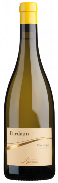Südtirol Pinot Grigio DOC Pardaun 2024 - 0.75l - Kellerei Andrian