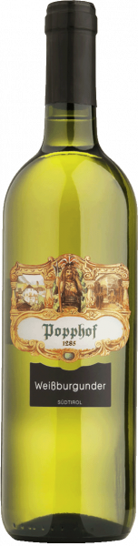 Weissburgunder 2023 - 0.75l - Weingut Popphof
