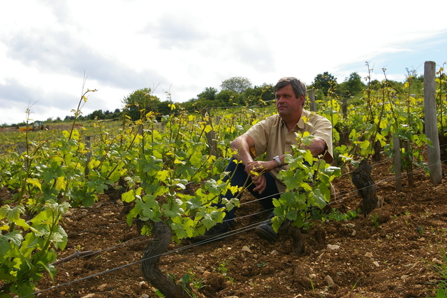 Domaine Forey Père & Fils
