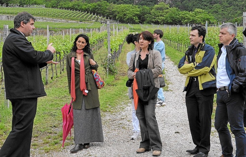 Weingut Baron di Pauli