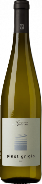 Pinot Grigio 2023 - 0.75l - Kellerei Andrian