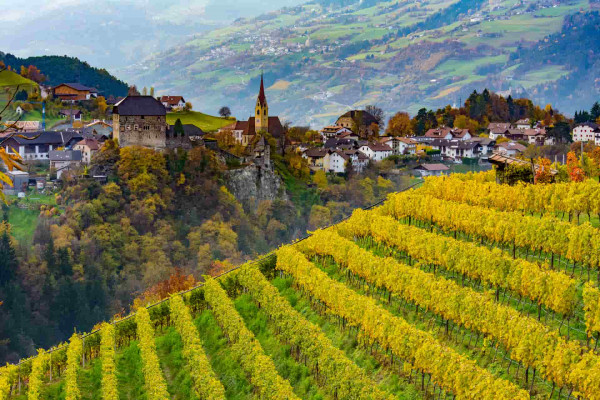 Weingebiet Eisacktal