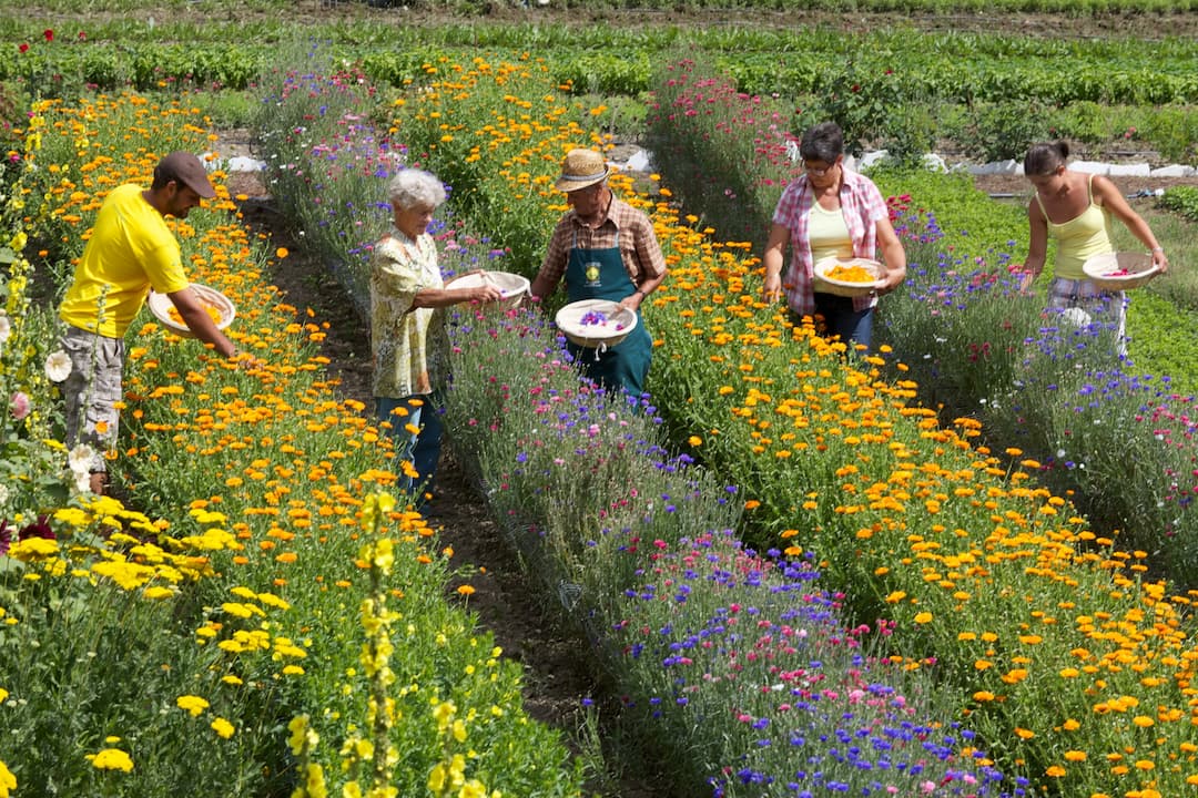 Südtiroler Kräuterschlössl