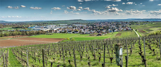 Weingut Tesch