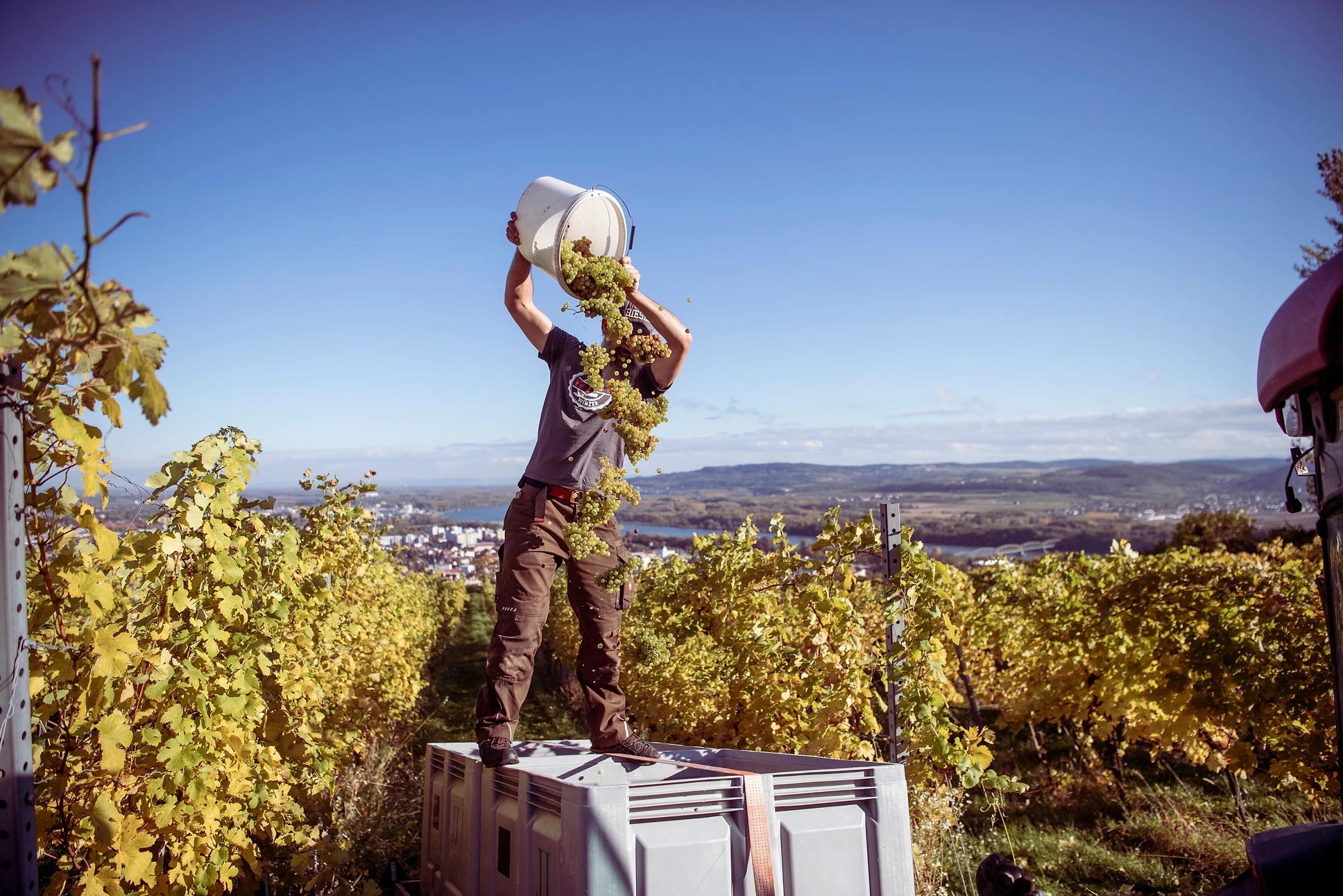 Weingut Alexander Zöller