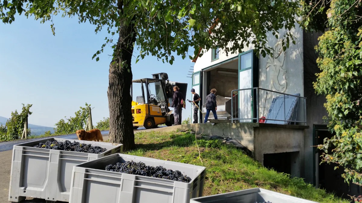 Weingut Winkler-Hermaden