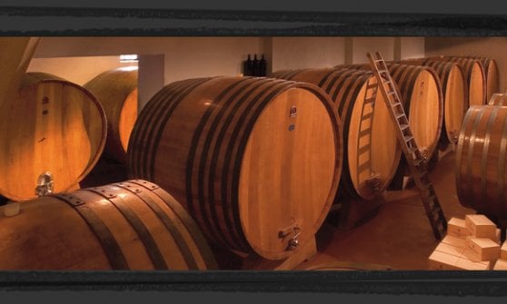 GIACOSA BRUNO E C.SNC