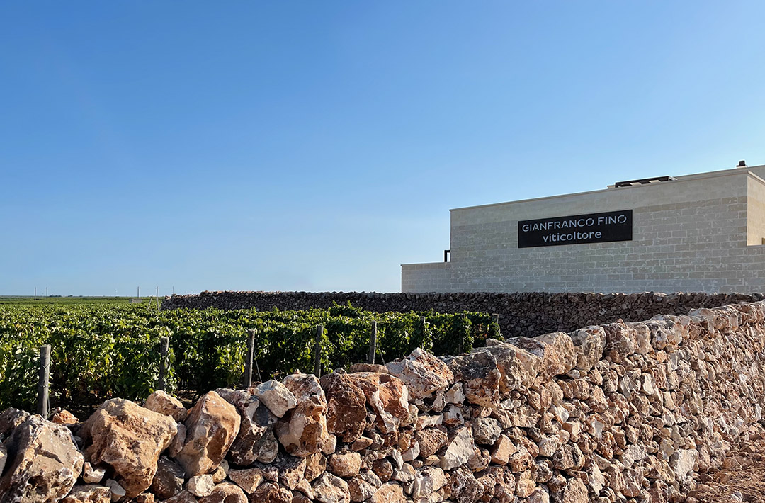 GIANFRANCO FINO