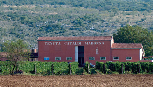 Pian delle Vigne