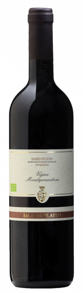 Rosso Piceno Bio 2025 - 1.5l - AZIENDA VINICOLA SALADINI PILASTRI
