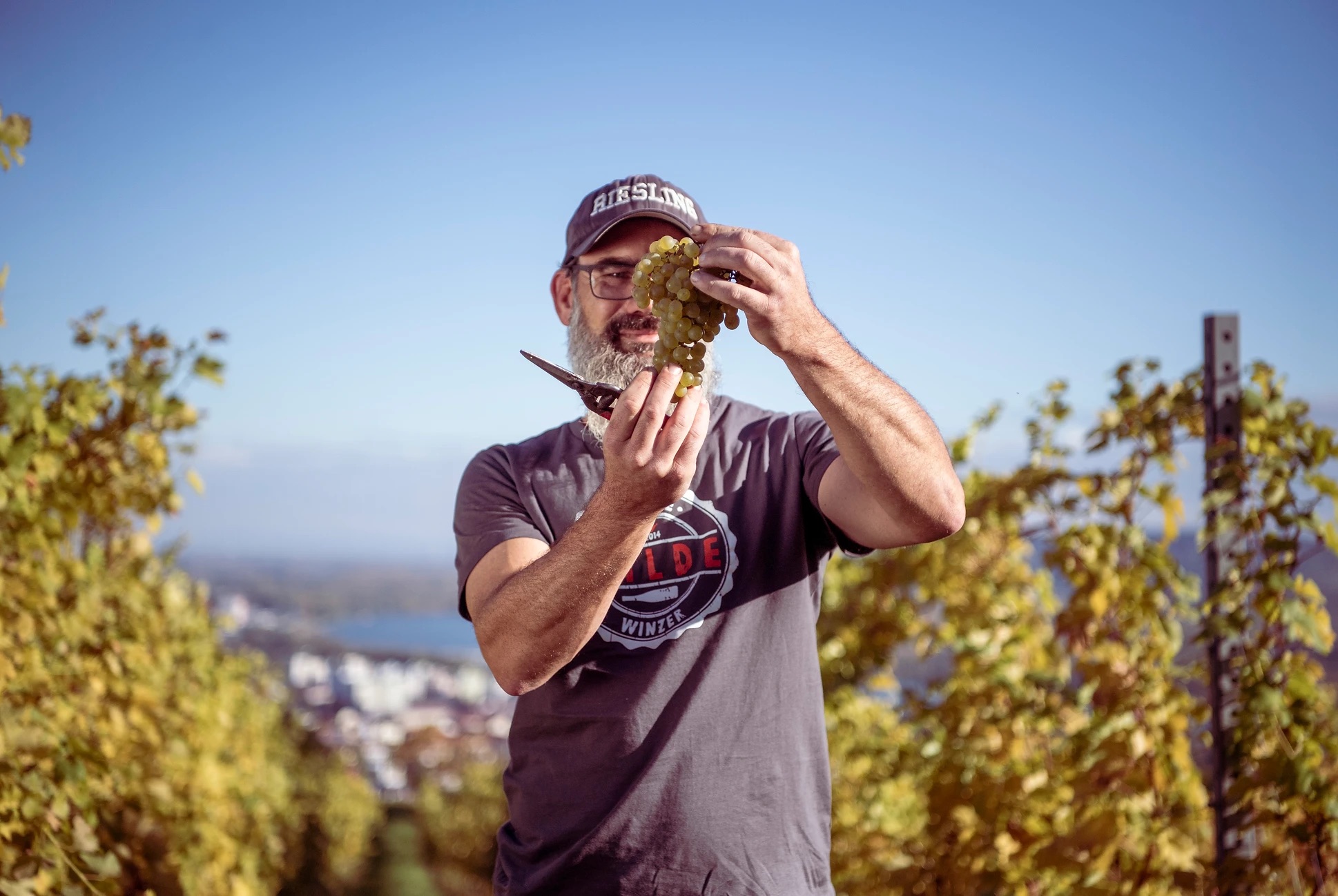 Weingut Alexander Zöller