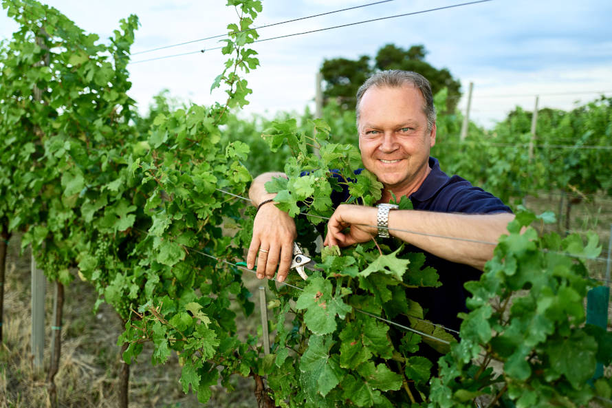 Weingut Wieninger