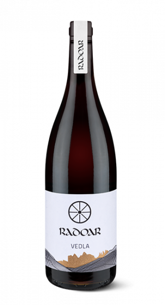 Blauburgunder „Vedla“ Bio 2019 - 0.75l - Weingut Radoar