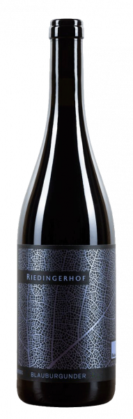 Blauburgunder "Vernoir" Bio 2021 - 0.75l - Weingut Riedingerhof