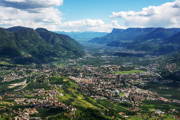 Die besten Kellereien im Etschtal 