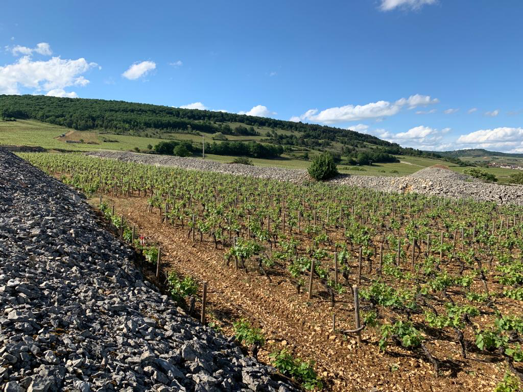 Domaine Bernard Moreau et Fils