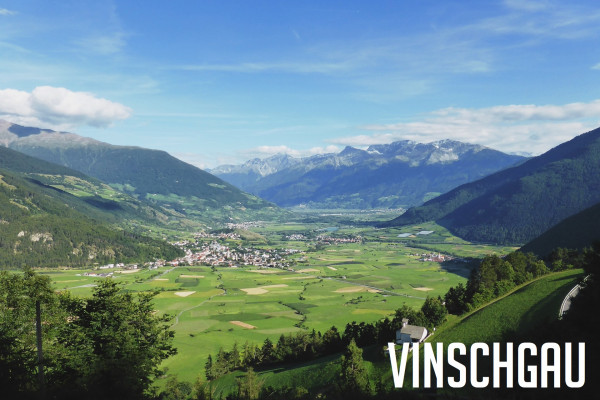 Vinschgau: Die 5 besten Weingüter 
