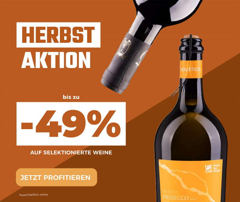 media/image/009_Banner-Herbst-Aktion-September-2026-DE-Mobile-Kopie.jpg