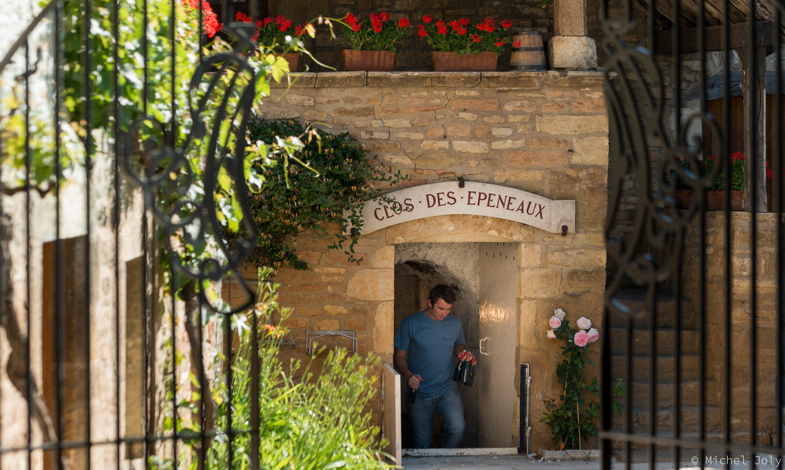 Domaine Comte Armand