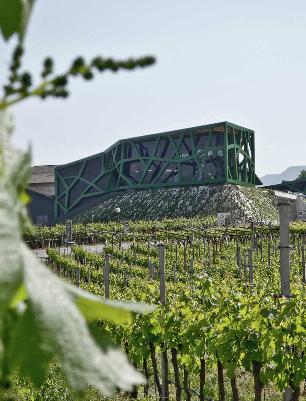 media/image/Kellerei-Tramin-KDM.jpg