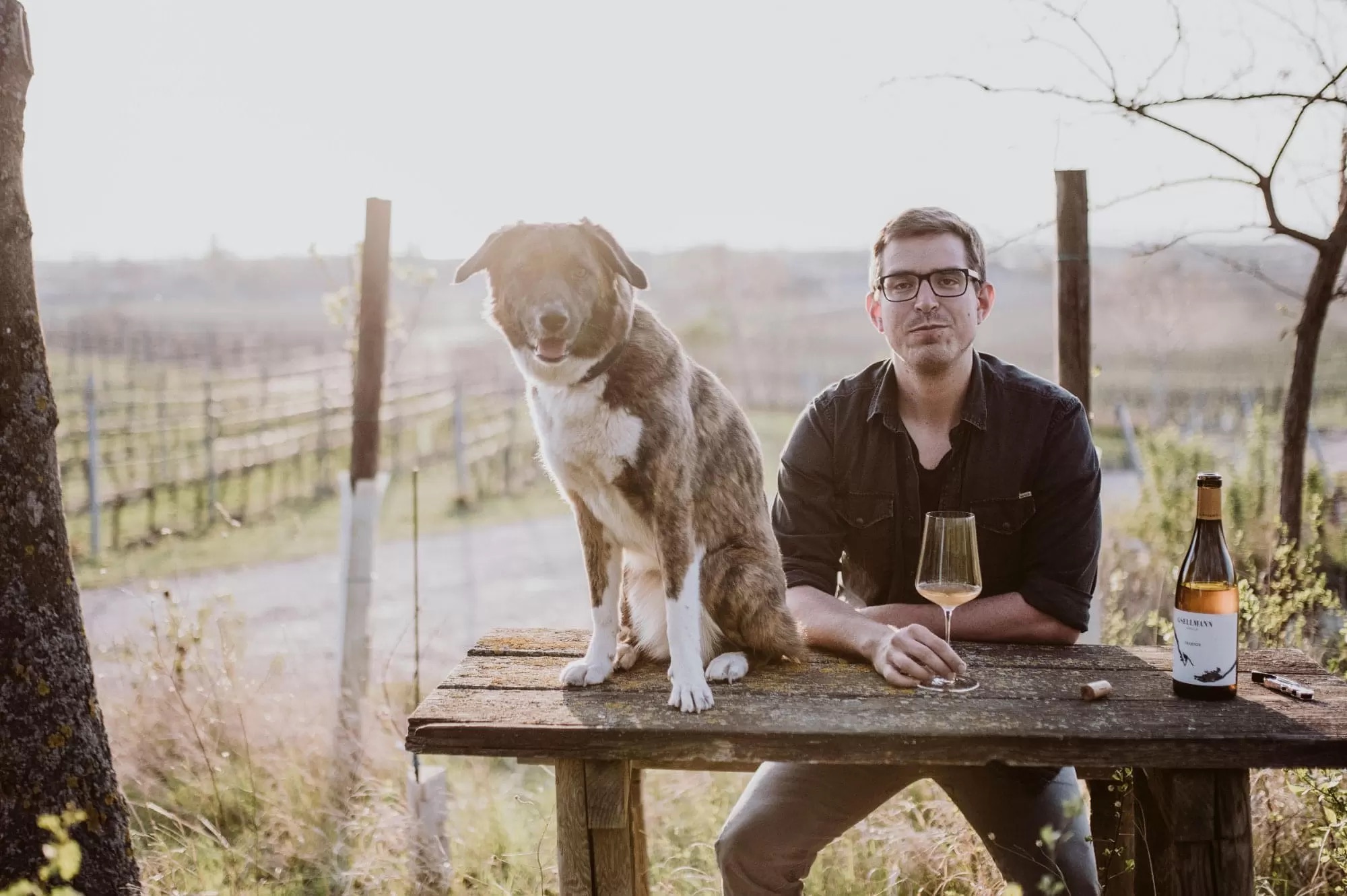 Weingut Andreas Gsellmann