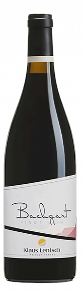 Blauburgunder Bachgart 2021 - 0.75l - Weingut Klaus Lentsch