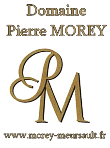 Pierre Morey Logo
