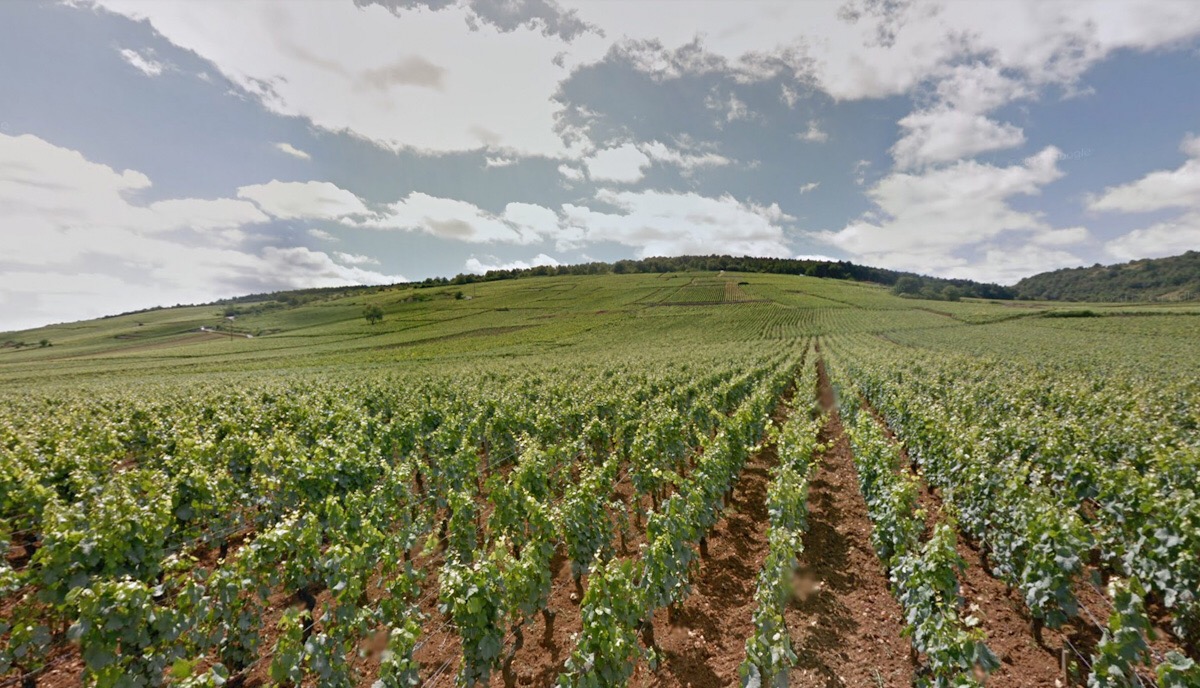 Domaine Mongeard-Mugneret 