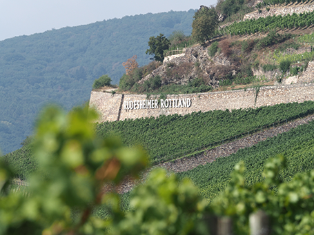 Weingut Leitz