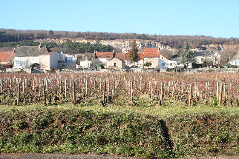 Domaine Bernard Moreau et Fils