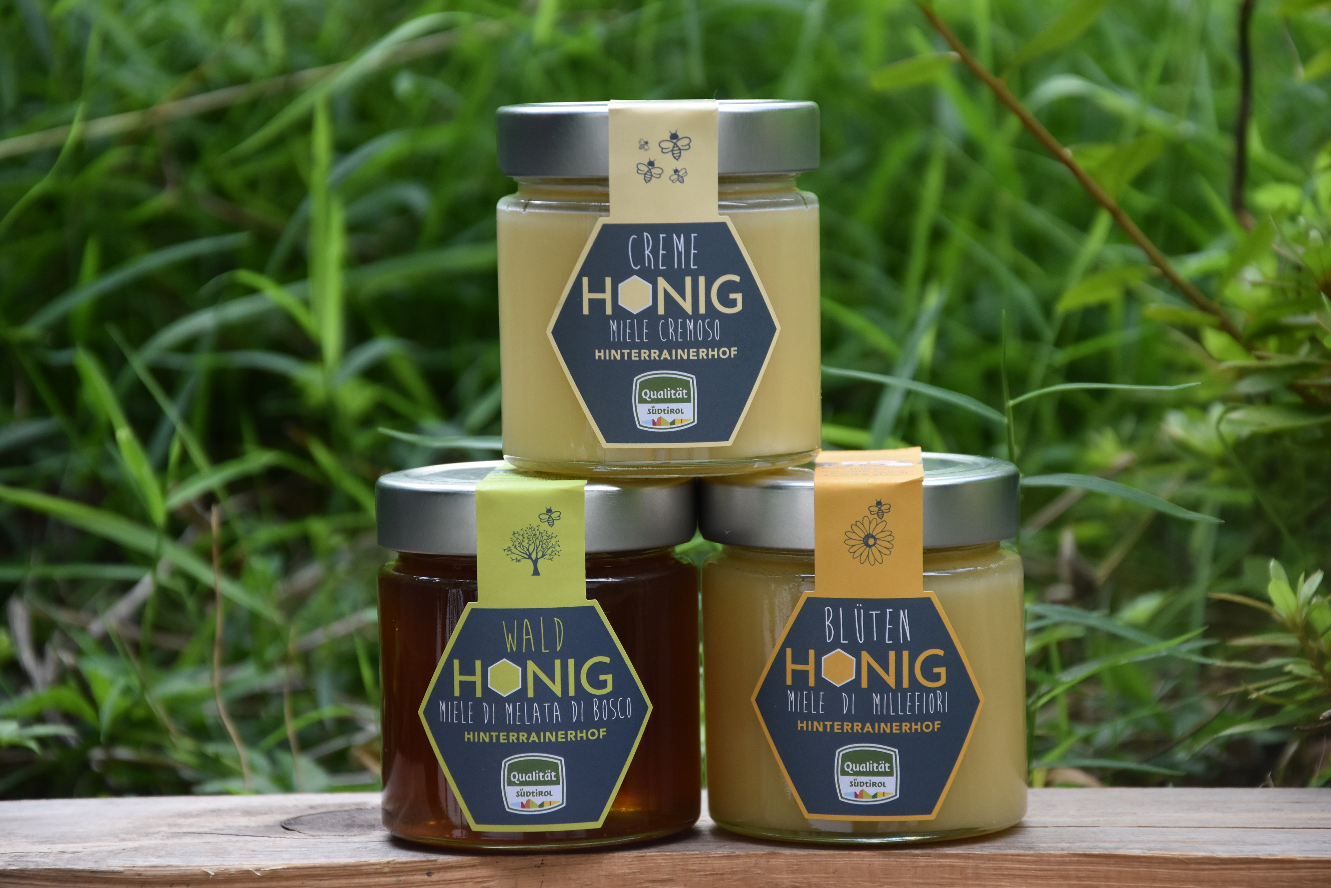 HINTERRAINERHOF HAFLING DES REITERER ULRICH