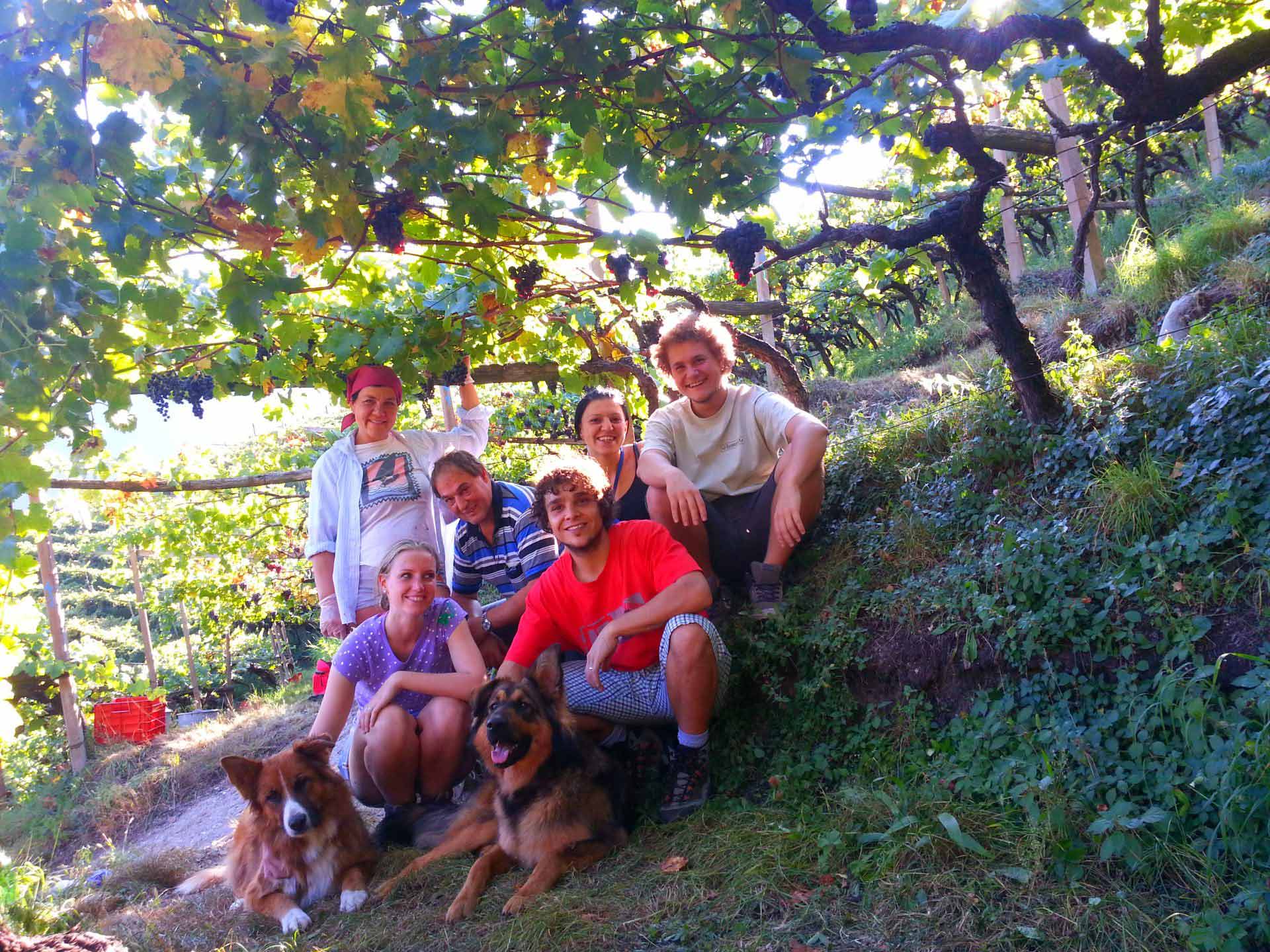 Weingut Plonerhof