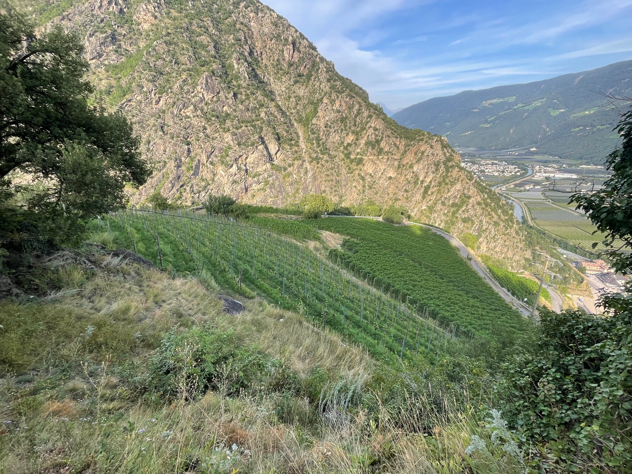 Weingut Unterortl Castel Juval