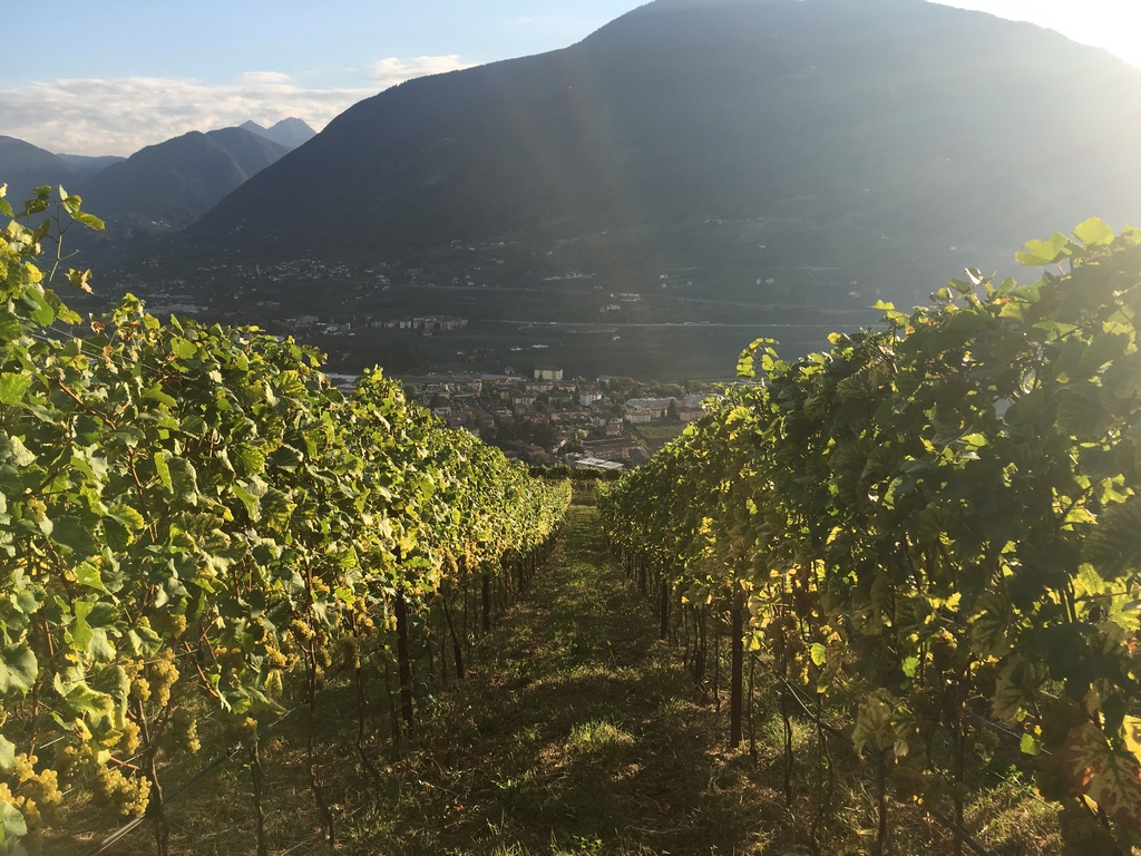 Bergkellerei Passeier