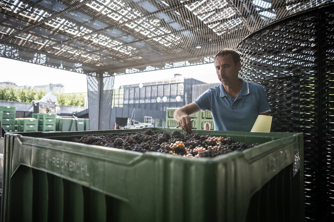 Kellerei Schreckbichl