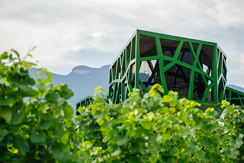 Kellerei Tramin