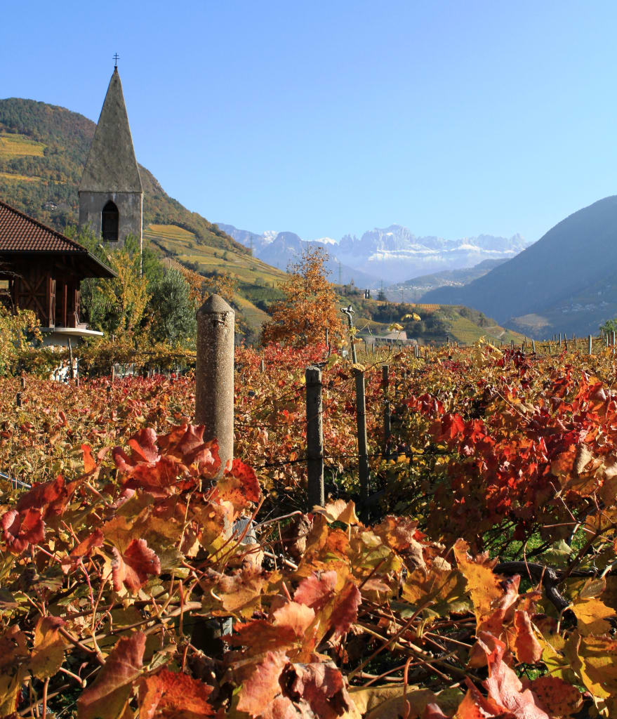 Weingut Plonerhof