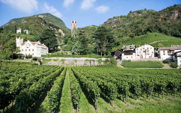 Weingut Rottensteiner