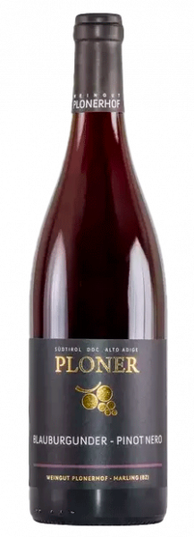 Blauburgunder 2024 - 0.75l - Weingut Ploner