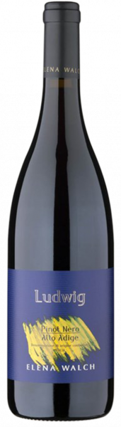 Blauburgunder "Ludwig" 2022 - 0.75l - Weinkellerei Elena Walch