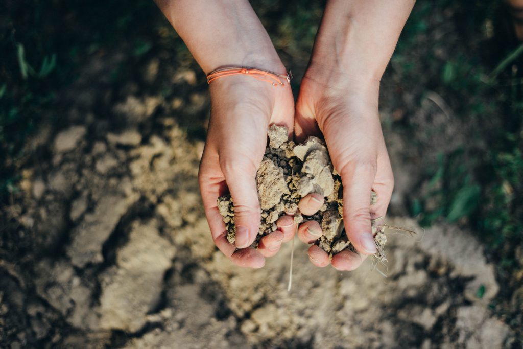 Weingut Michaela Riedmüller