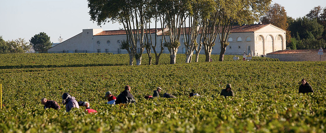 Chateau Mouton Rothschild