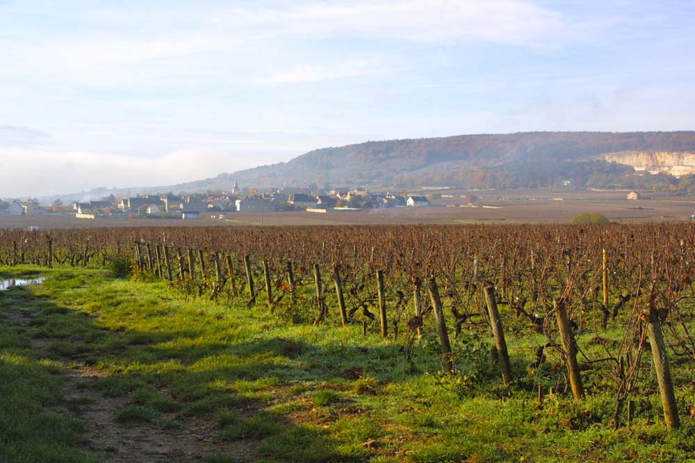 Pierre-Yves Colin-Morey