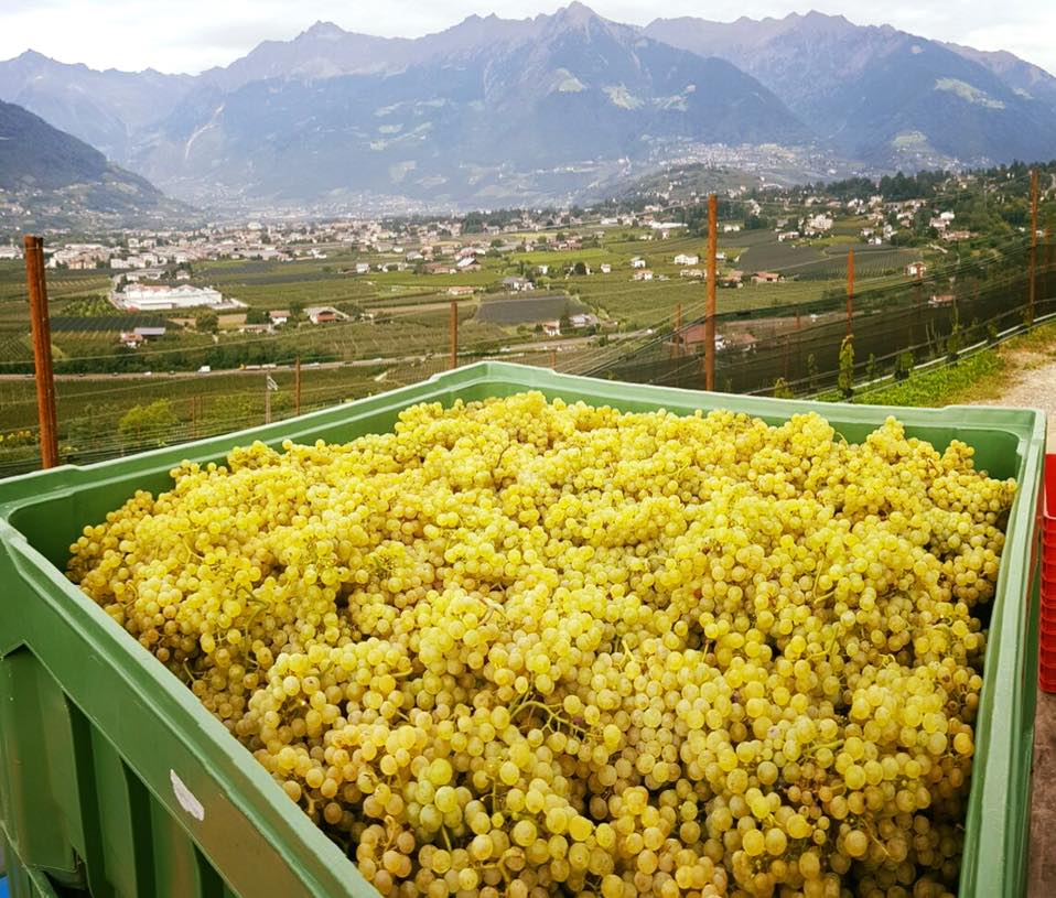 Weingut Pratenberg