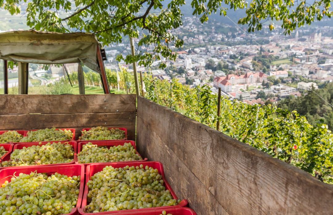 Johannes Meßner - Burgerhof