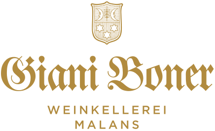 Giani Boner Logo